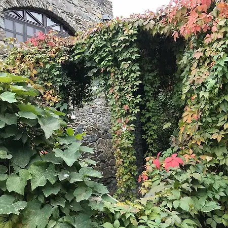 Del Mar Castel Constanţa